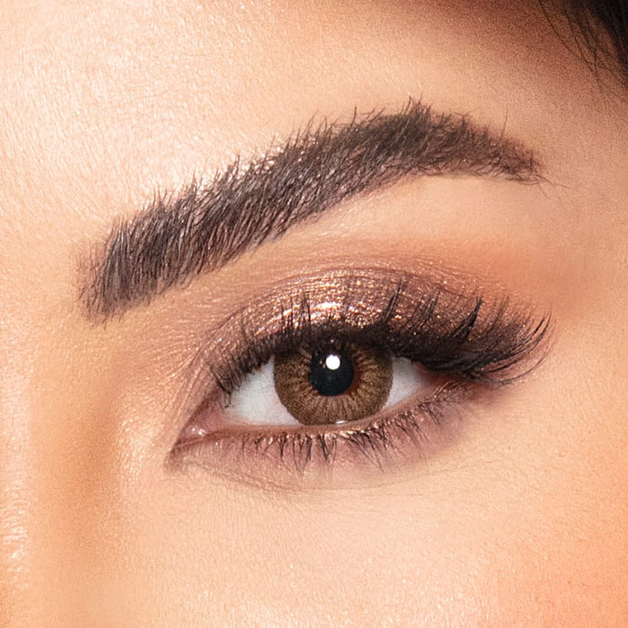 Amara 10pk Daily Lens amber