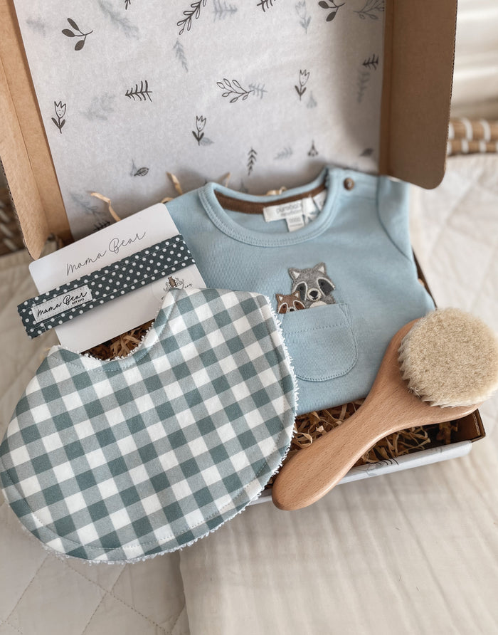 Baby Boy Gift Hamper | Blue Racoon