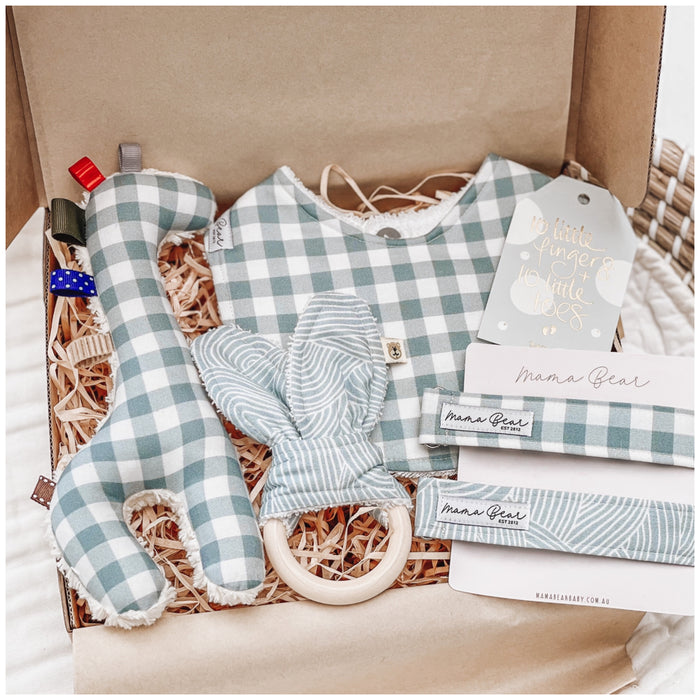 Baby Boy Gift Hamper | Handmade Blue Giraffe, bib & dummy clips