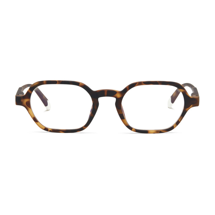Barner Sodermalm - Tortoise - Frame