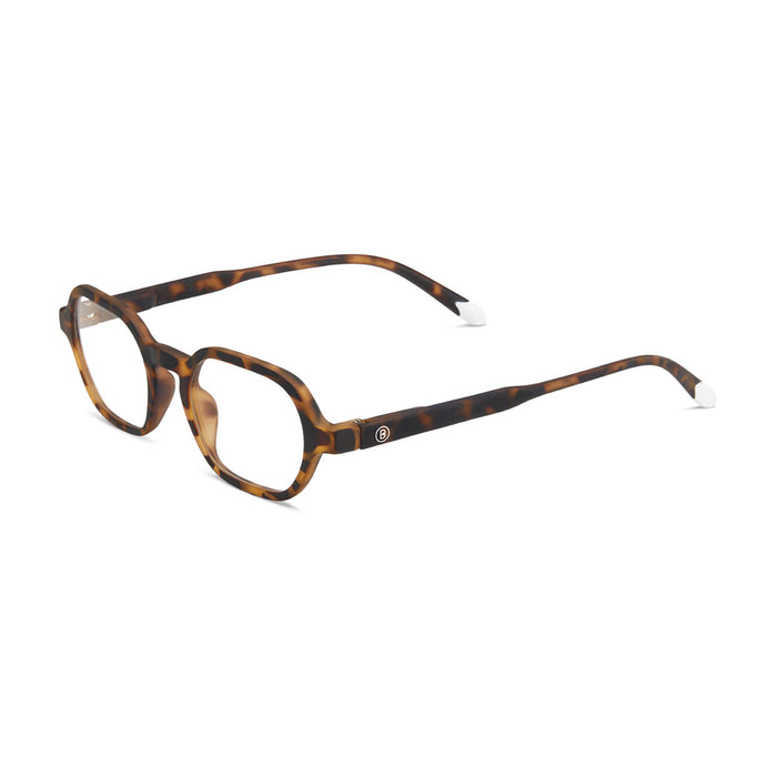 Barner Sodermalm - Tortoise - Frame