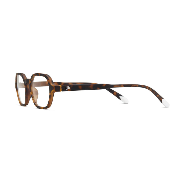 Barner Sodermalm - Tortoise - Frame
