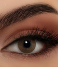 Bella Diamond 2 Lenses - 3 months (Brown Shadow Limited)