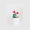 Bloom & Prickle (Graphic Only)