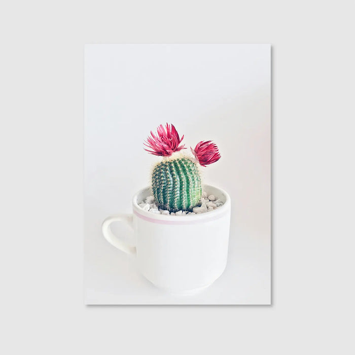 Bloom & Prickle (Graphic Only)