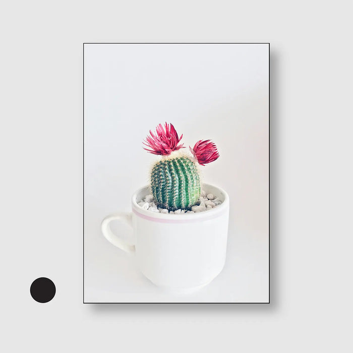 Bloom & Prickle
