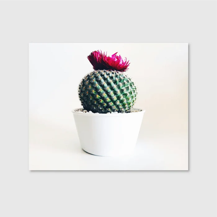 Desert Bloom Crown (Graphic Only)