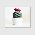 Desert Bloom Crown (Graphic Only)