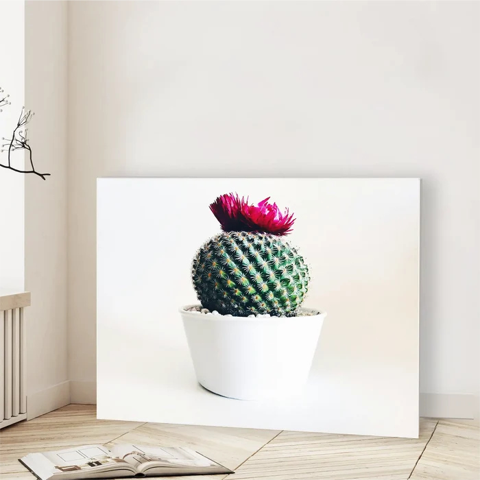 Desert Bloom Crown (Graphic Only)