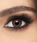 Freshlook Color Blends - Honey (Clearance Sale)