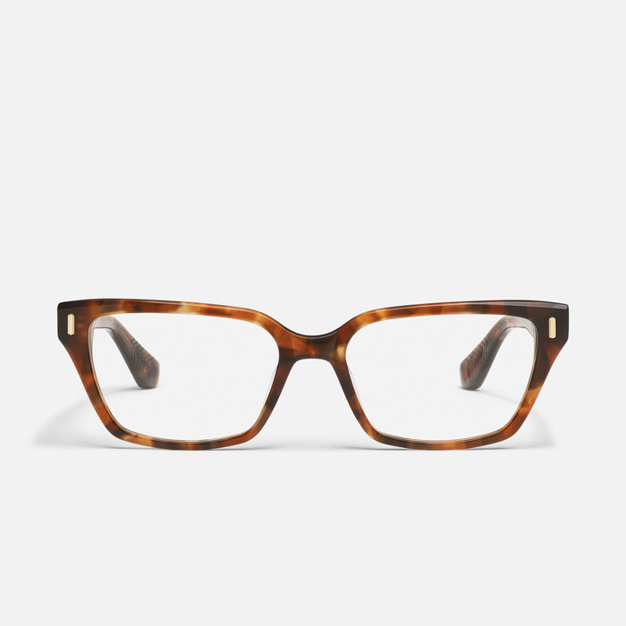 AMBER TORT/RX
