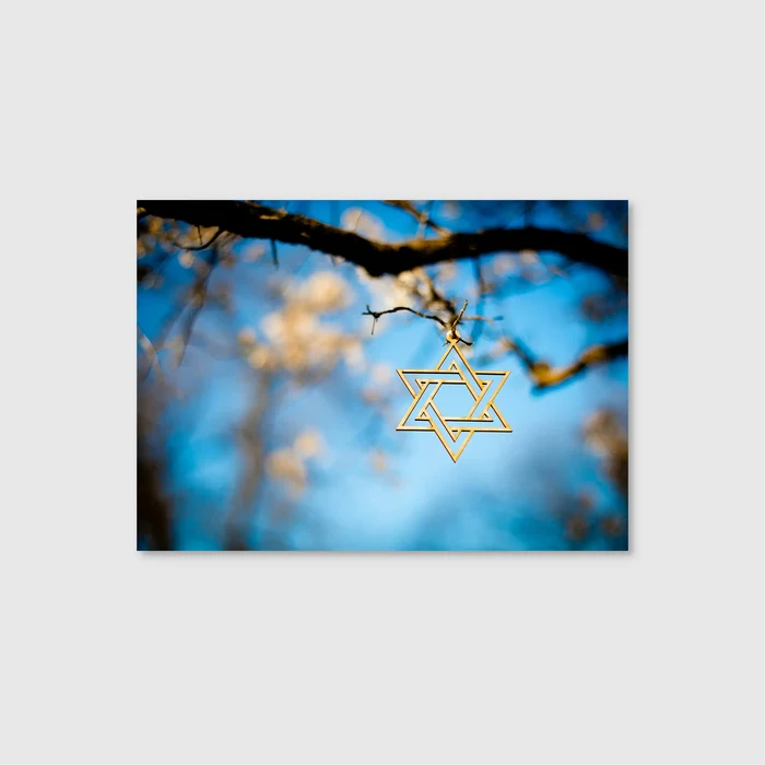 Golden Star Hanging (Graphic Only)