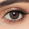 Lensme 2 lenses - Drama - Plano