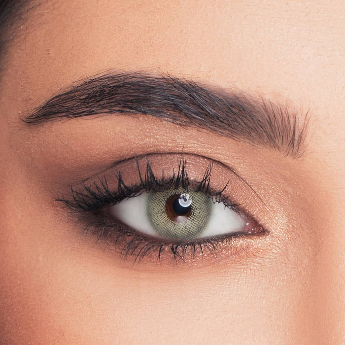 Luminous Contact Lens - Yearly (LATIN BROWN - Limited)