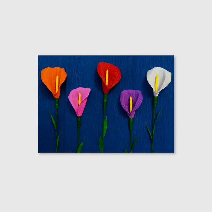 Paper Calla Blooms (Graphic Only)