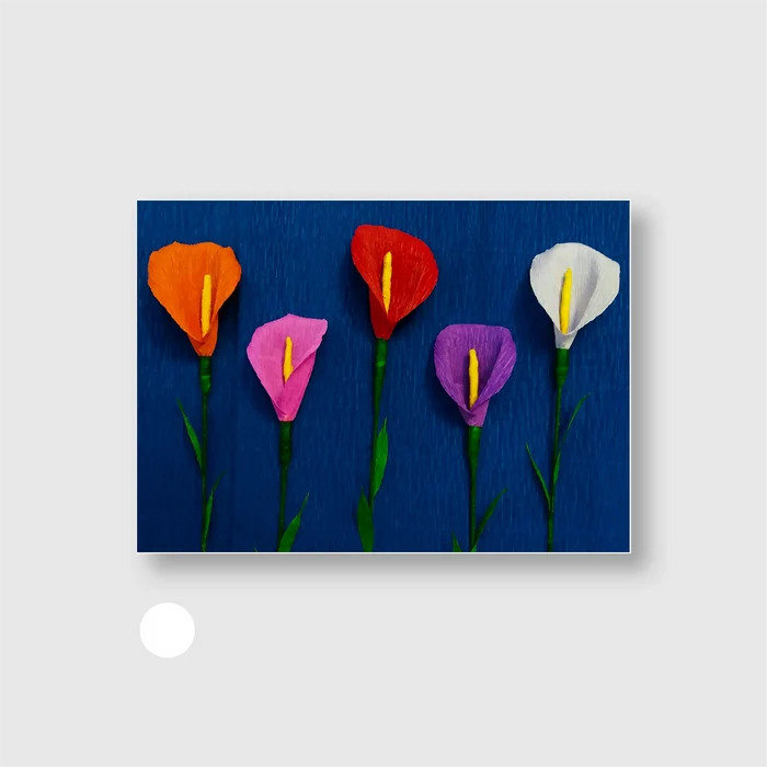 Paper Calla Blooms