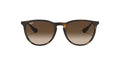 Ray Ban Erika RB4171 865/13 54