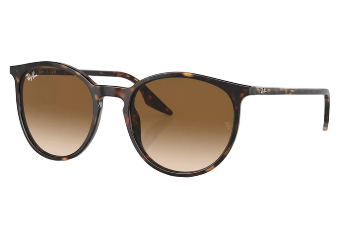 Ray Ban RB2204 902/51 52