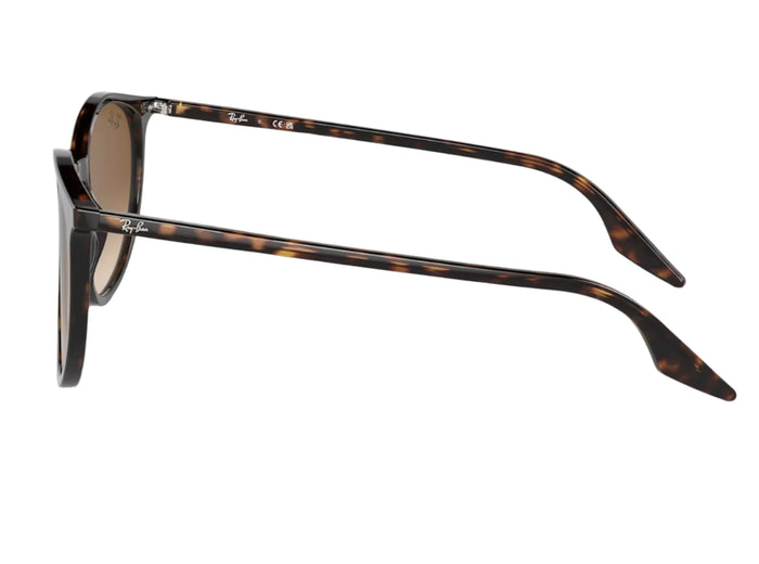 Ray Ban RB2204 902/51 52