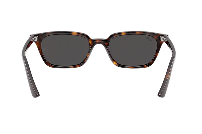 Ray-Ban RB4456F 1359/87 52