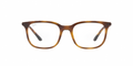 Ray Ban RX7211 2012 52